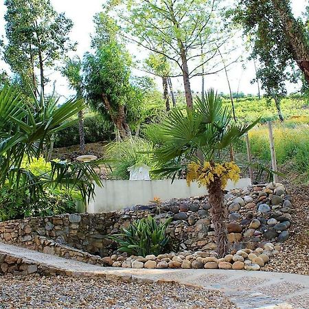 Oak Cottage Ferreira do Zêzere Екстериор снимка